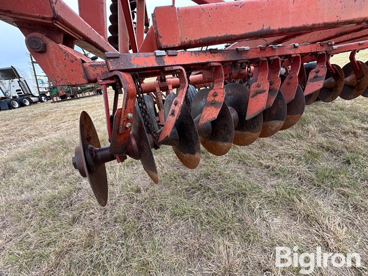 sunflower-ta-24-image-15