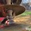 case-ih-3900-image-8