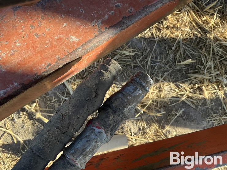 krause-1907-image-11