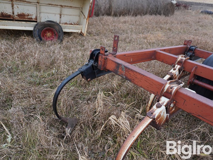 international-15-image-14