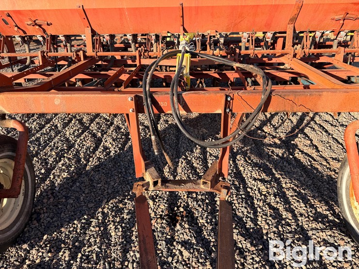 international-10-image-10