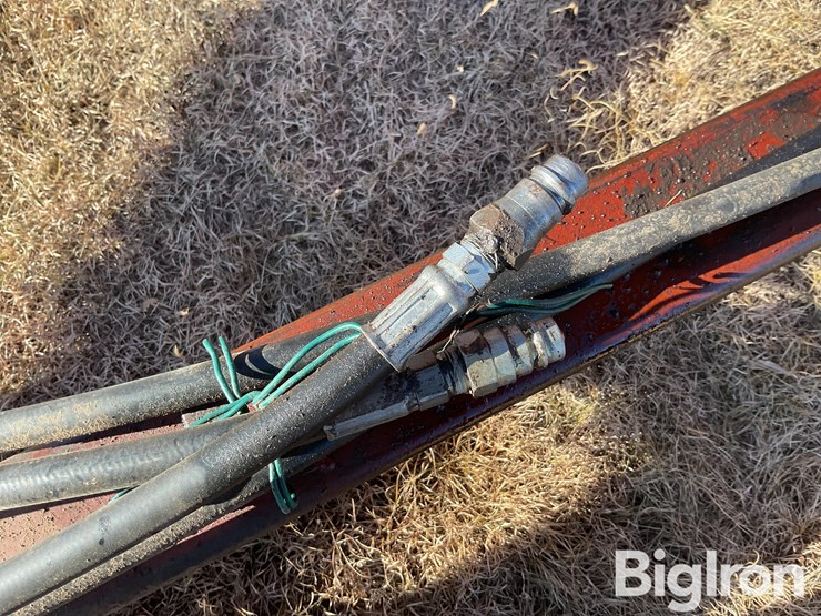 sunflower-1440-35-image-11