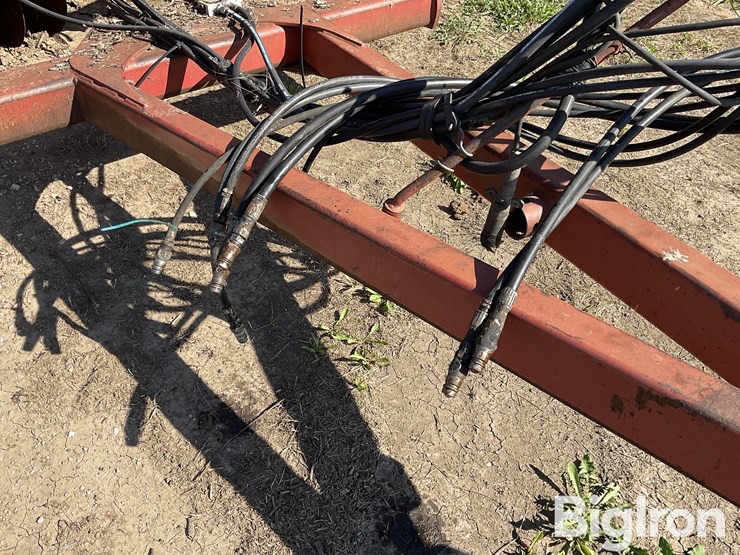 sunflower-1434-36-image-10