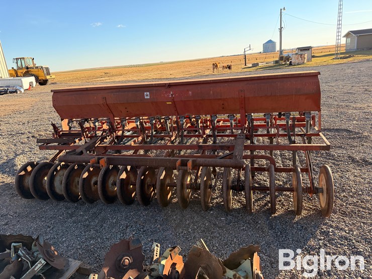 international-10-image-6