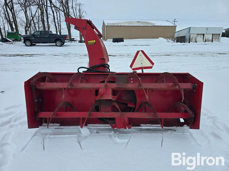 international-80-image-6