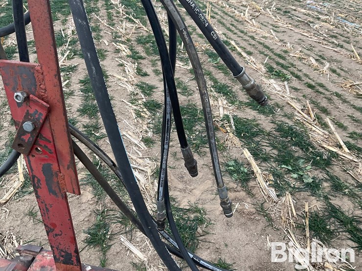 international-496-image-10