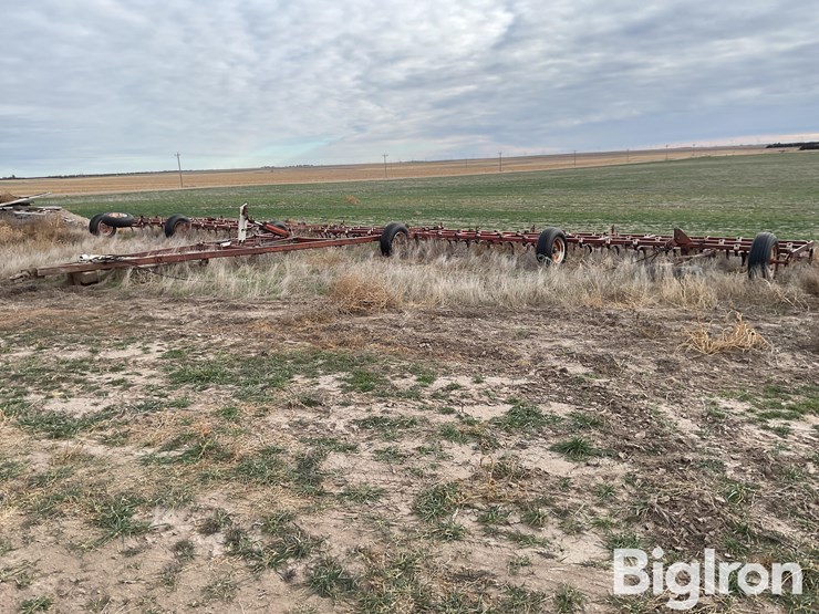 international-55-image-1