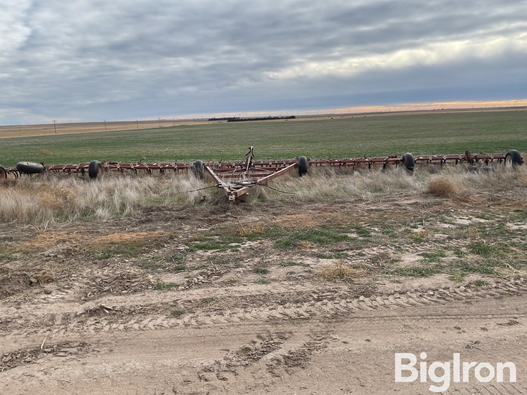 international-55-image-2