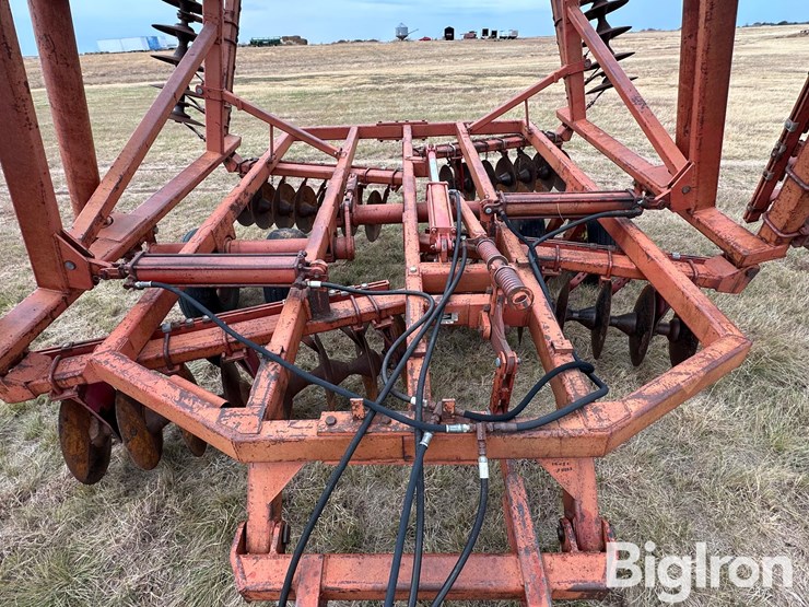 sunflower-ta-24-image-11