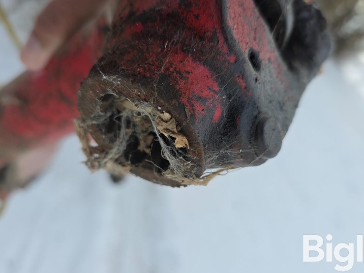 international-430-image-13