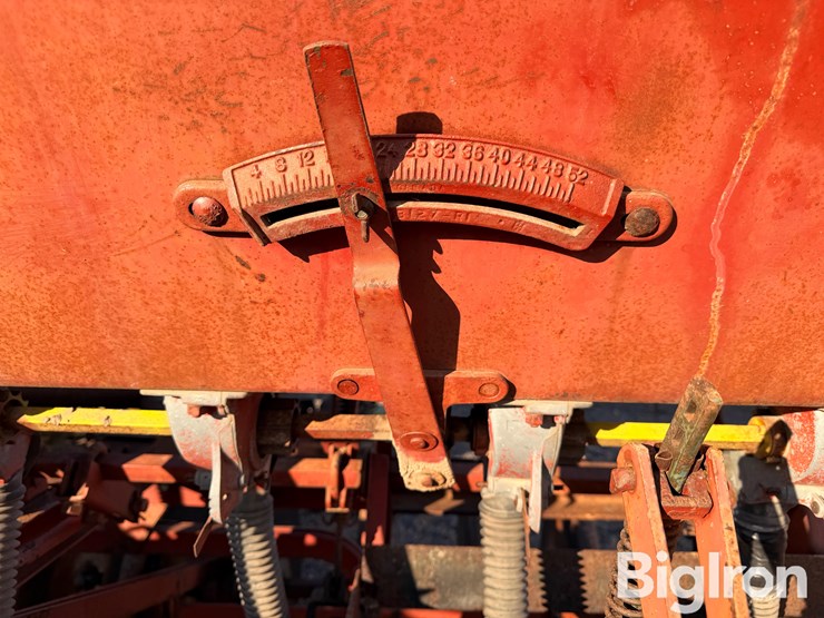 international-10-image-16