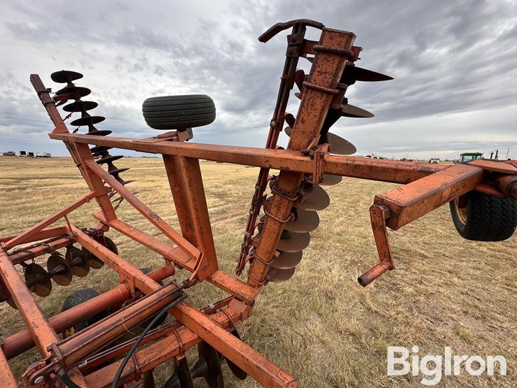 sunflower-ta-24-image-12