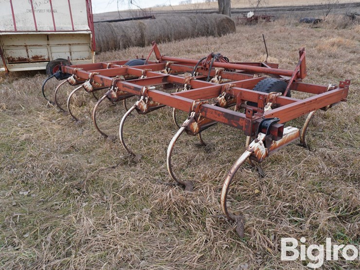 international-15-image-5