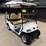 2011-star-48-2-r-golf-cart-image-2