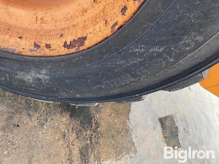 mustang-2054-image-17