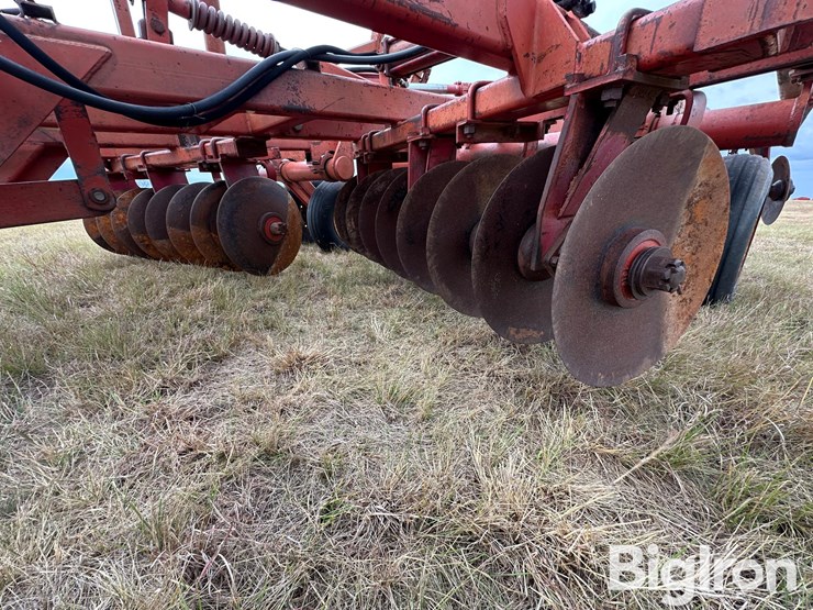 sunflower-ta-24-image-14