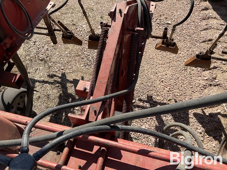 international-16-image-15