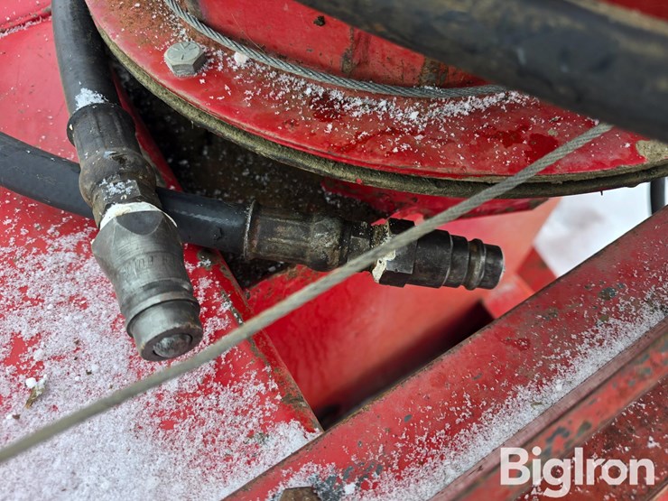 international-80-image-18