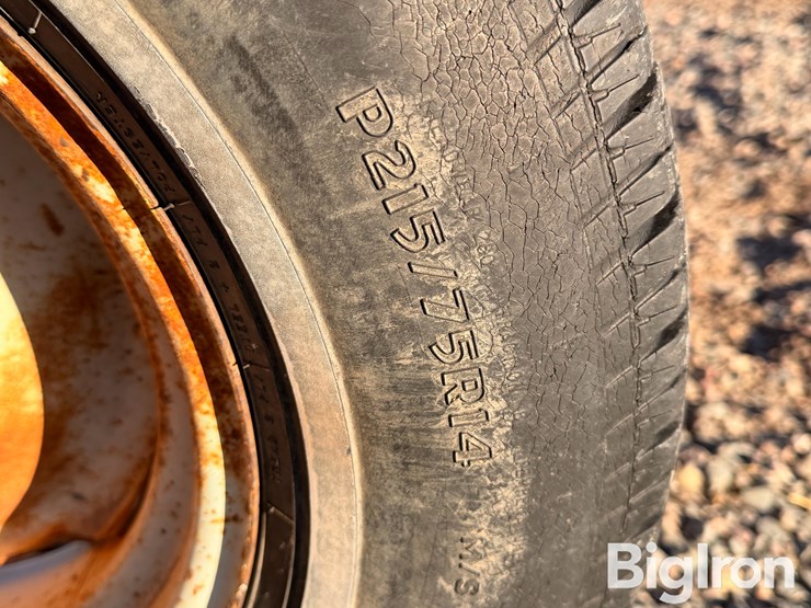 international-10-image-15