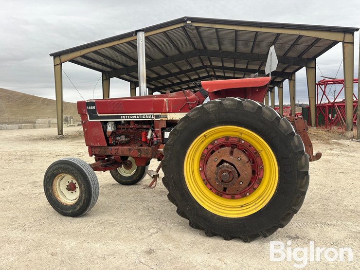 international-1466-image-8