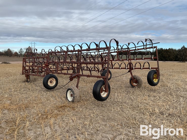 international-3-image-7