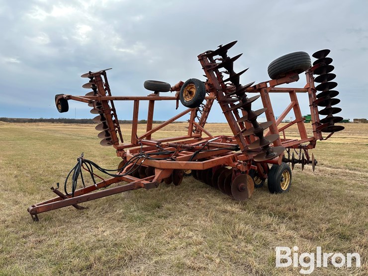 sunflower-ta-24-image-1