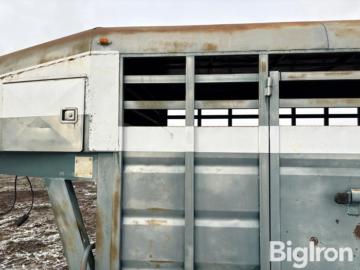 1992-diamond-d-image-15