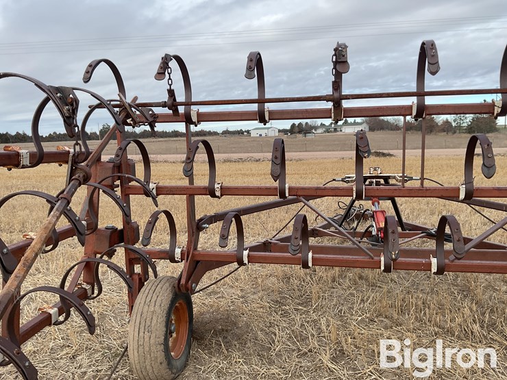 international-3-image-15