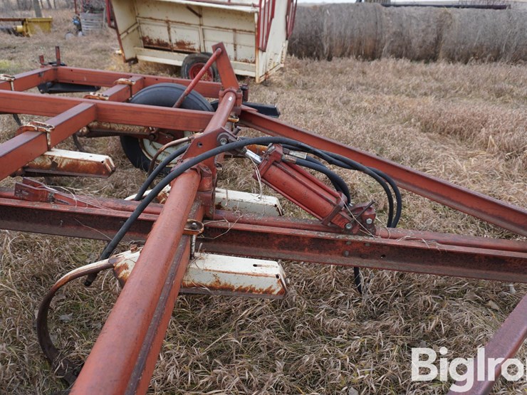 international-15-image-12