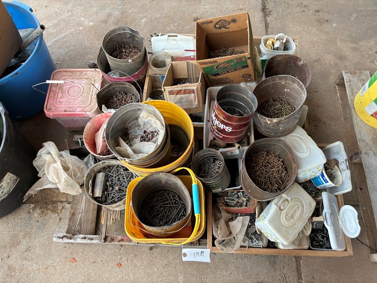 #17189-•-buckets-of-misc.-screws-image-1