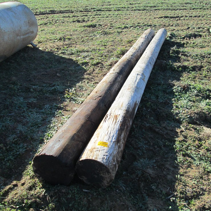 #35377 • Lot of (2) 16’ 6" Light Poles