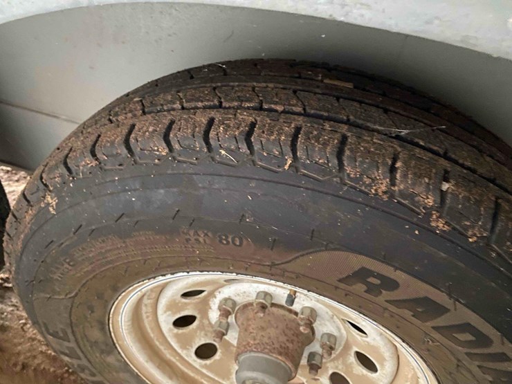 ads-bulk-seed-buggy-image-15