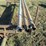 #35345-•-s/a-steel-pull-type-pipe-trailer-&-(3)-irrigation-pipes-image-5