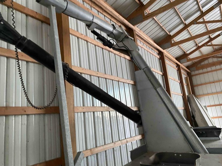 ads-bulk-seed-buggy-image-10