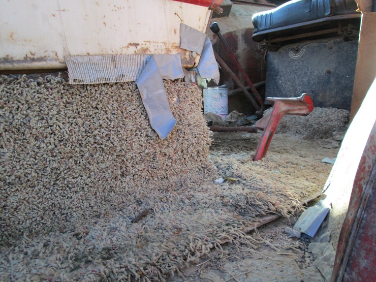 international-1566-image-26