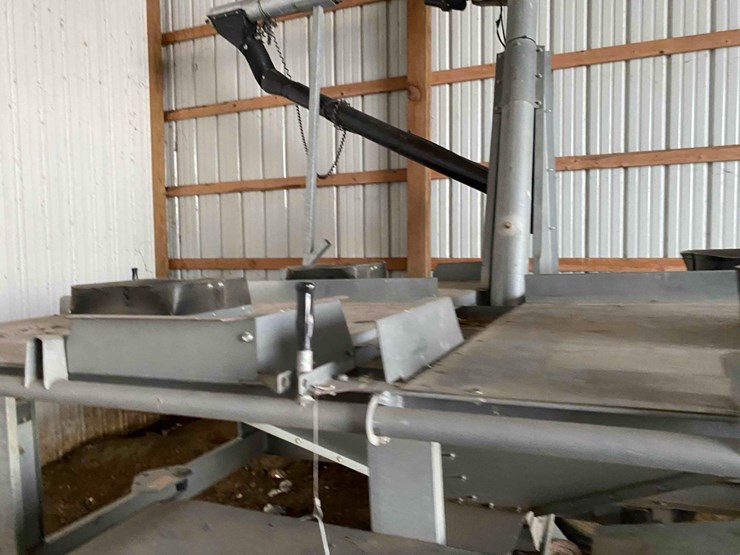 ads-bulk-seed-buggy-image-6