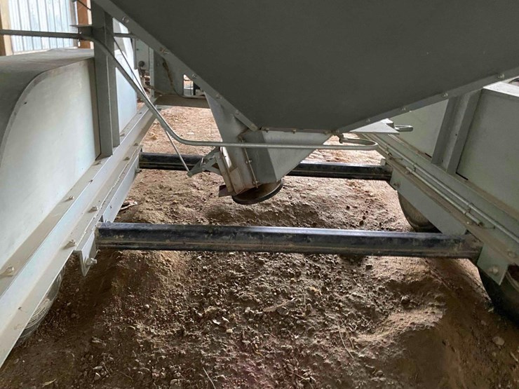 ads-bulk-seed-buggy-image-12