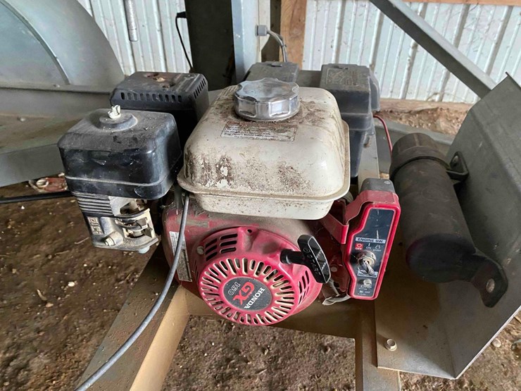 ads-bulk-seed-buggy-image-14