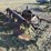 #35353-•-2pt-4-bottom-breaking-plow-image-3