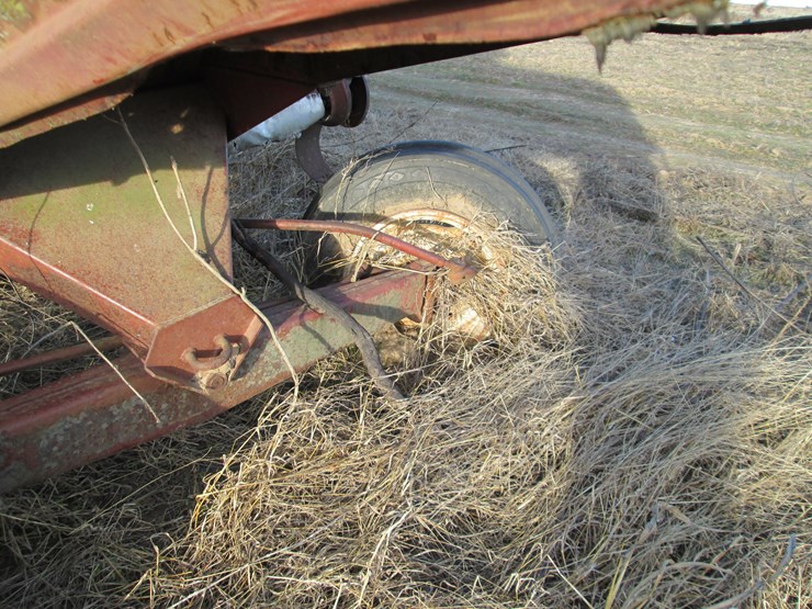 international-303-image-7