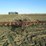 #35360-•-homemade-18’-field-cultivator-image-2