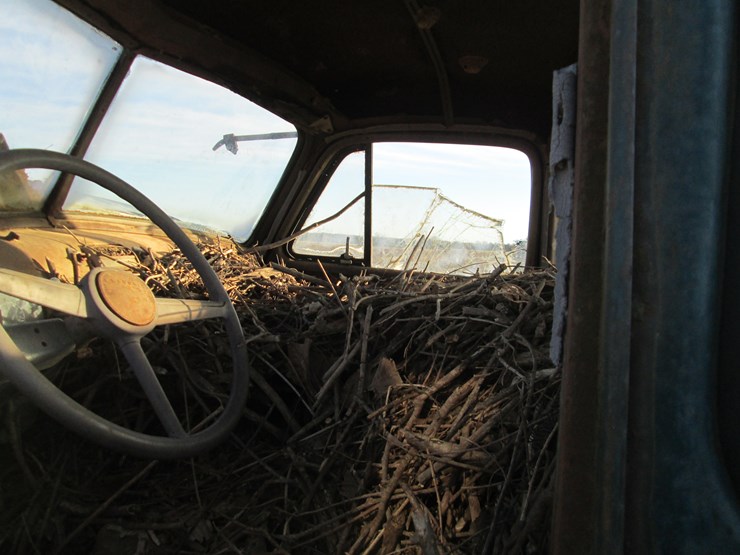 #35366-•-inop-chevrolet-6400-s/a-single-cab-truck-image-15