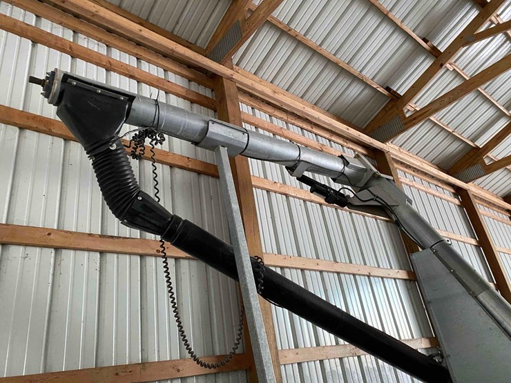 ads-bulk-seed-buggy-image-9