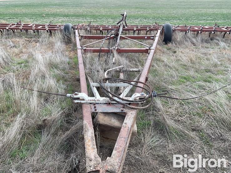 international-55-image-10