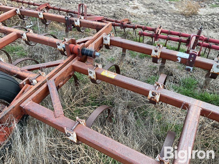 international-55-image-20