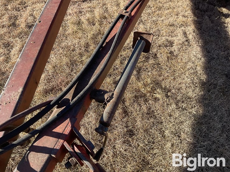 sunflower-1440-35-image-10