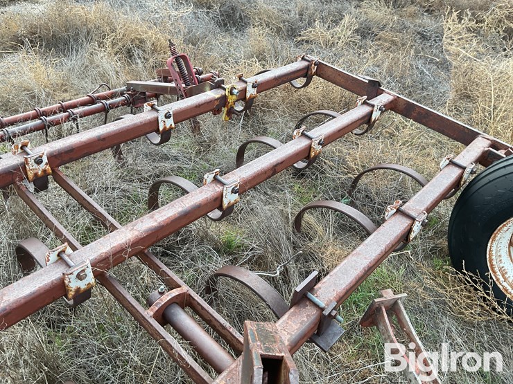 international-55-image-13