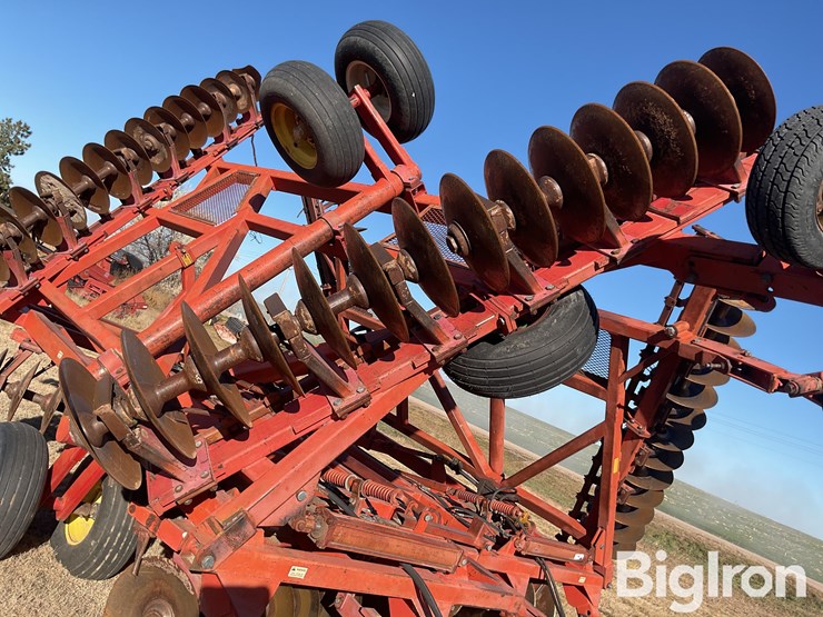 sunflower-1440-35-image-18