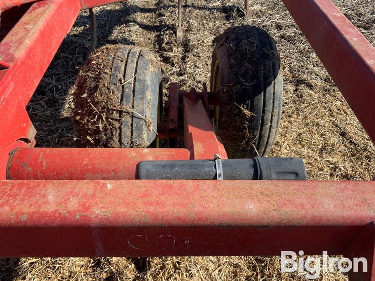 sunflower-4110-image-15