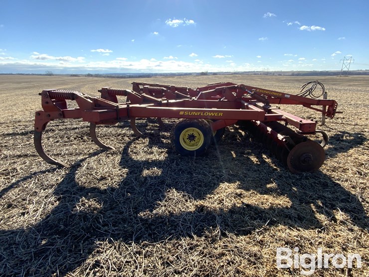 sunflower-4110-image-4